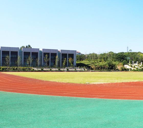 epdm塑膠地坪廠_塑膠場地安裝_硅pu球場施工-鑫達(dá)豐足體育設(shè)施工程