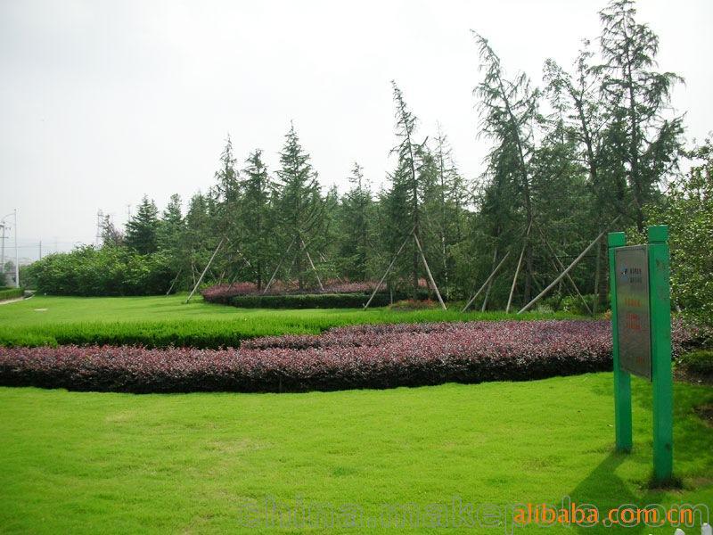 承攬綠化工程、園林施工、園林綠化工程養護