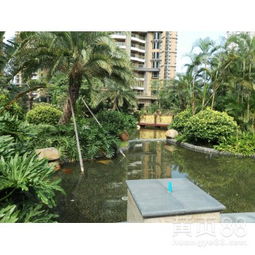 【工廠綠化養護、學校綠化養護、小區綠化養護修剪、園林綠化施工】-