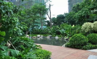 干貨 解讀園林施工全程及綠化施工標準