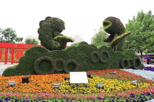 美 今年城區(qū)實(shí)施園林綠化工程15項(xiàng),這些地方風(fēng)景如畫(huà)